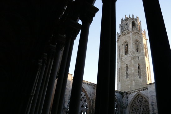 The belltower for the Seu Vella de Lleida seen from the cloister on January 9 2019 (by Laura Cortés)